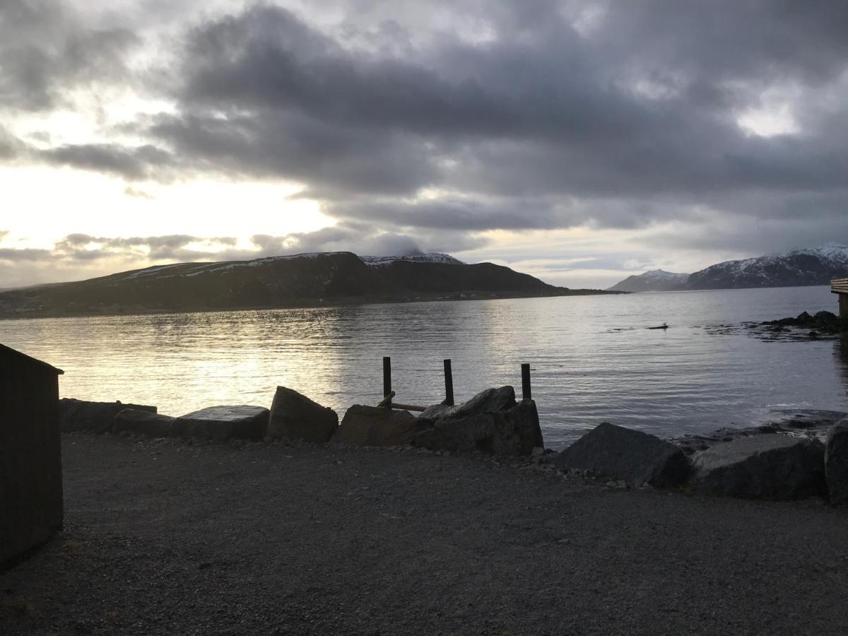 Lofoten Havfiske Leknes Ngoại thất bức ảnh
