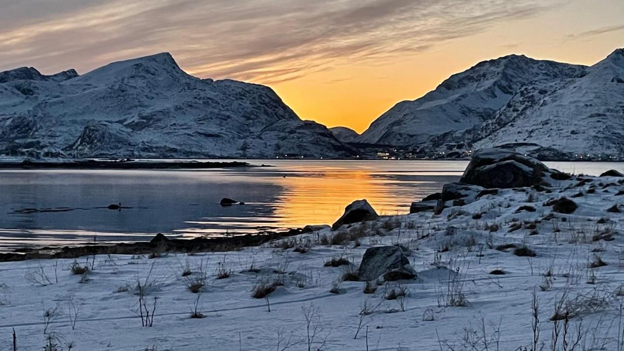Lofoten Havfiske Leknes Ngoại thất bức ảnh