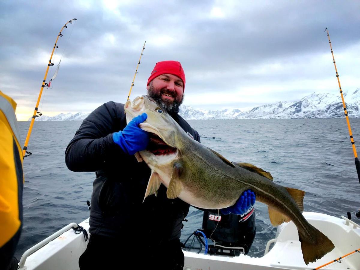 Lofoten Havfiske Leknes Ngoại thất bức ảnh