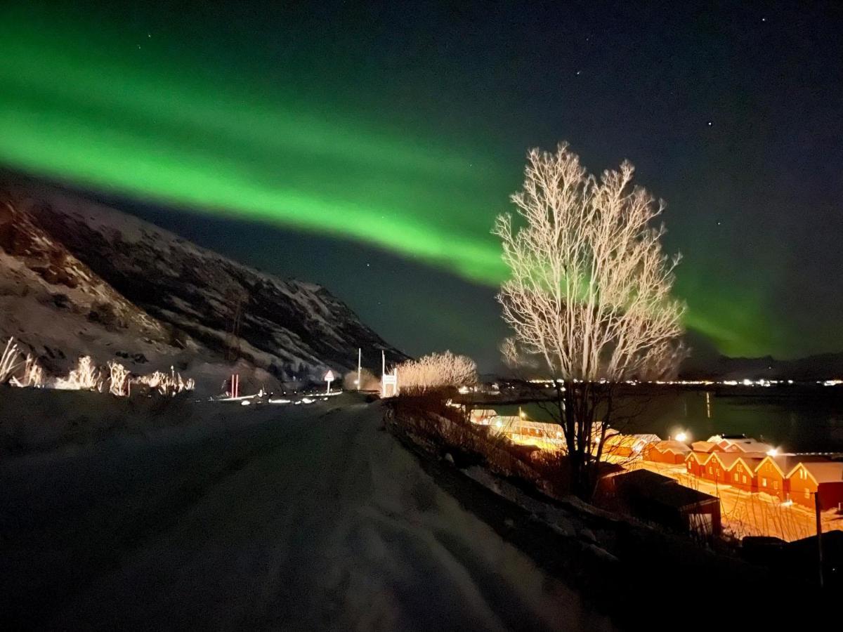 Lofoten Havfiske Leknes Ngoại thất bức ảnh