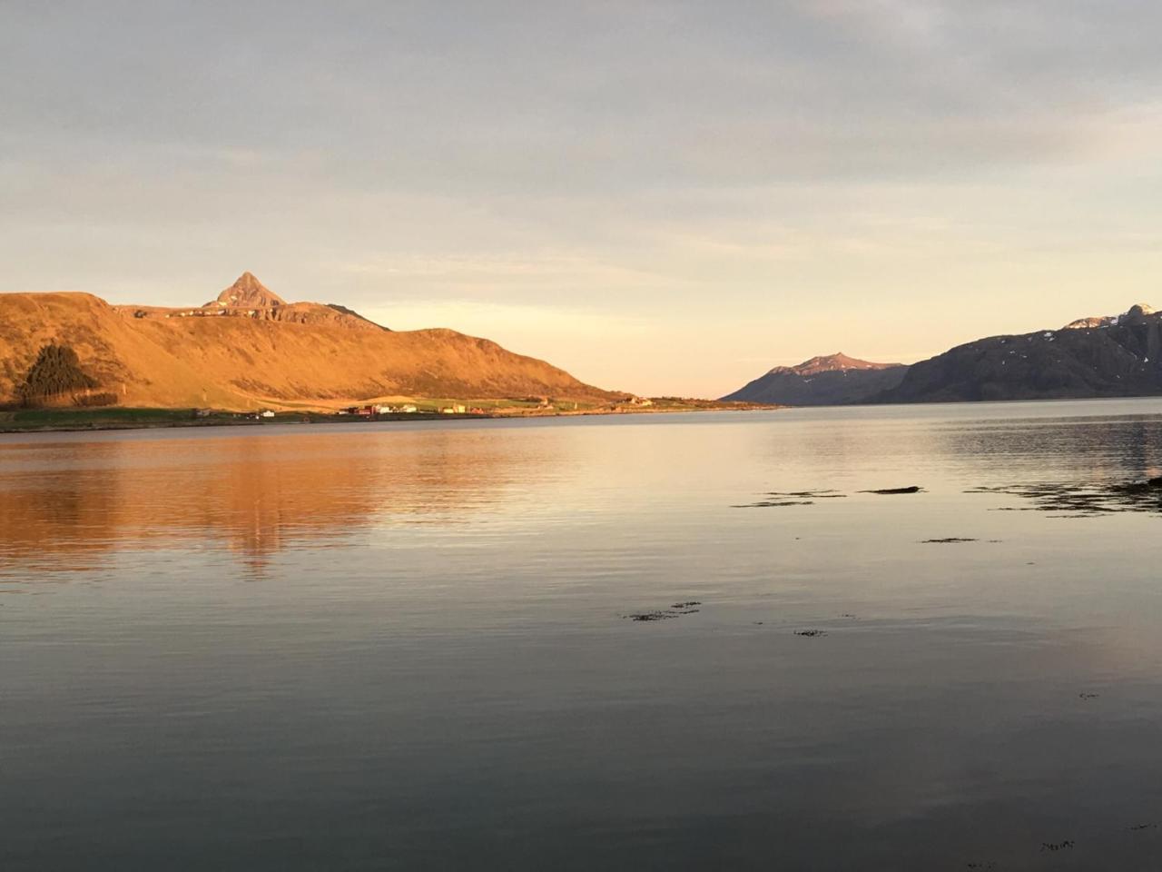 Lofoten Havfiske Leknes Ngoại thất bức ảnh