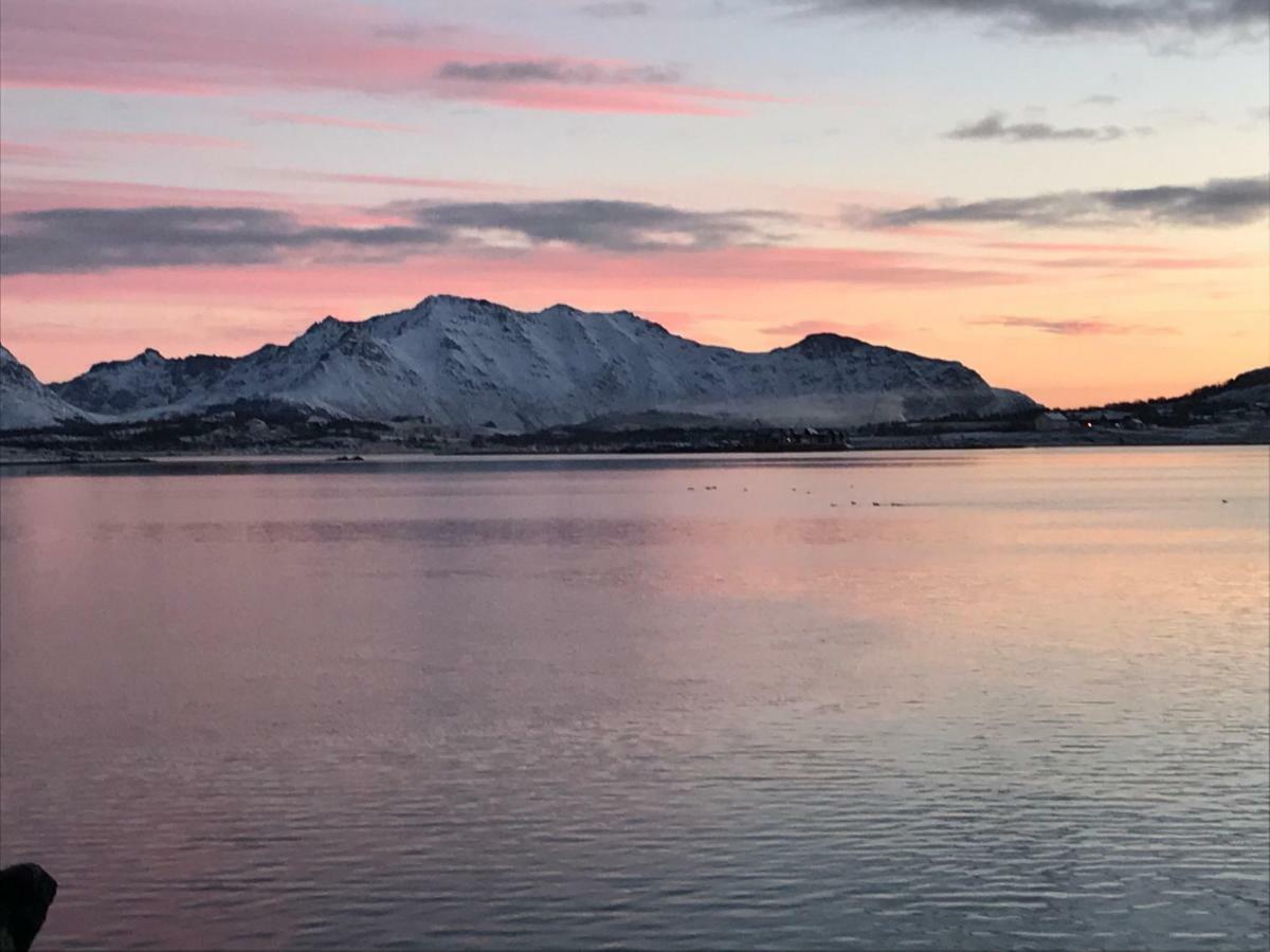 Lofoten Havfiske Leknes Ngoại thất bức ảnh